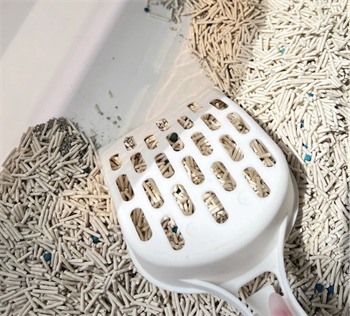 小鹿可可猫砂好用吗 小鹿可可猫砂好用吗