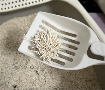 小鹿可可猫砂 小鹿可可猫砂