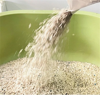 猫砂测评 猫砂测评