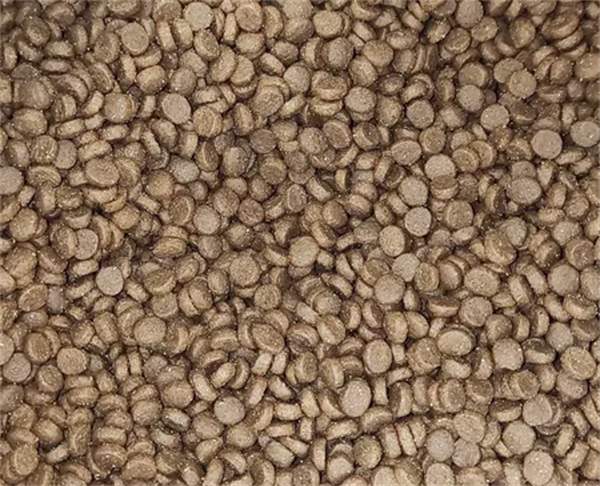 养了个毛孩的猫粮好不好 养了个毛孩的猫粮好不好