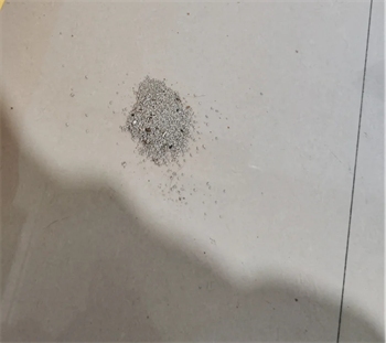 猫砂测评 猫砂测评