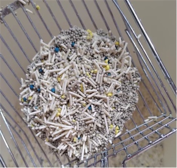 大象和蓝鲸猫砂测评 大象和蓝鲸猫砂测评