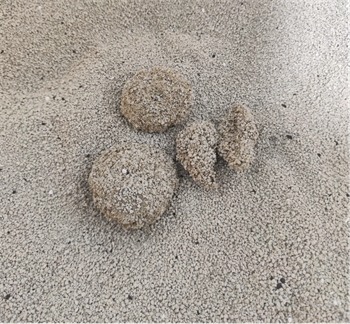 乌力乌力猫砂 乌力乌力猫砂