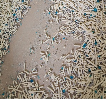 麦都狗猫砂测评