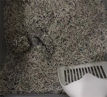 喵铮铮混合豆腐砂 喵铮铮混合豆腐砂