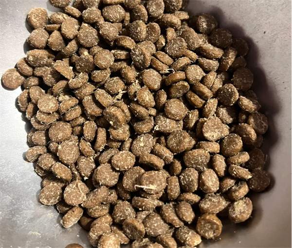 纯福猫粮 纯福猫粮