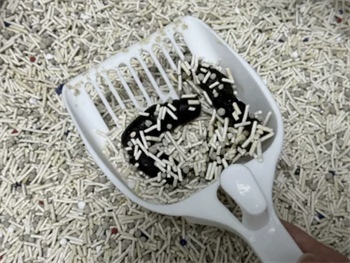 恋猫恋狗猫砂测评