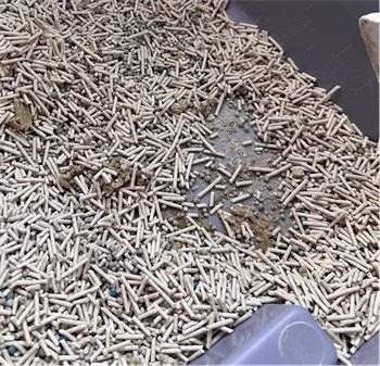 猫爸爸的厨房猫砂测评 猫爸爸的厨房猫砂测评