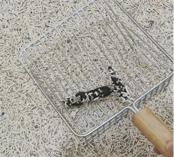 猫爸爸的厨房猫砂 猫爸爸的厨房猫砂