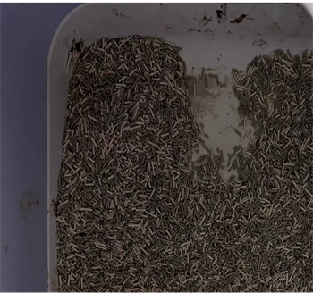 滋奇双子星豆腐猫砂