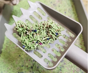 神经猫猫砂测评