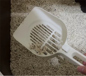 四月名混合猫砂测评