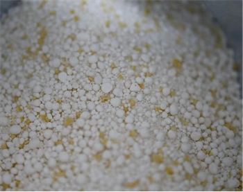 无尘猫猫砂测评