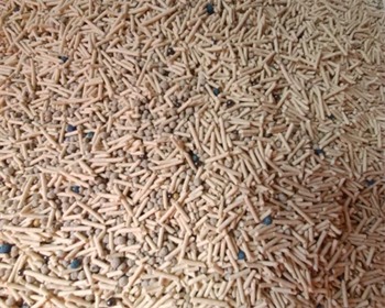 尾巴生活猫砂测评