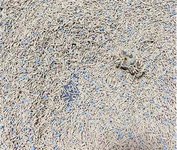 元气怪兽猫砂好用吗