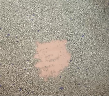 喵洁客猫砂怎么样