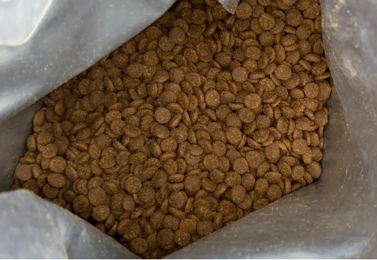 小愿叔叔猫粮测评