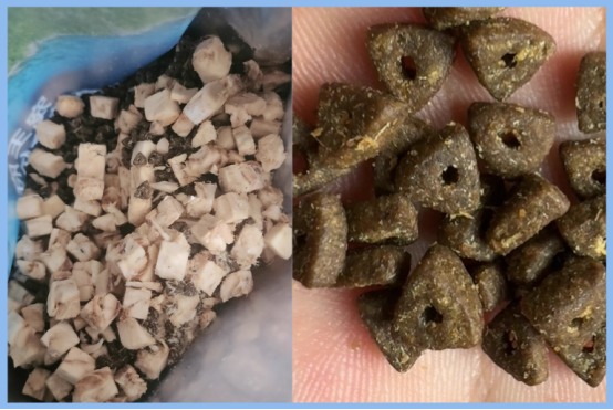 宠王府深海鱼猫粮怎么样？