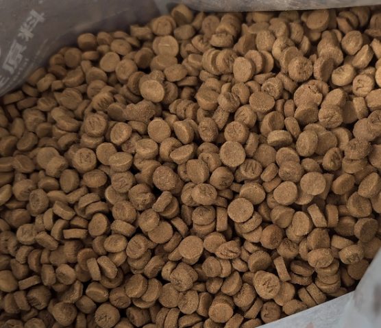 猫所烘焙猫粮测评