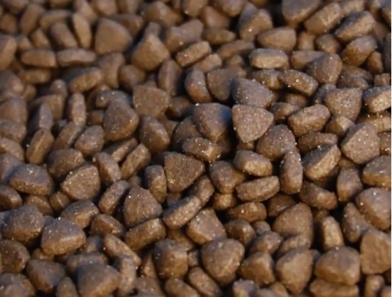 猫小闹猫粮测评