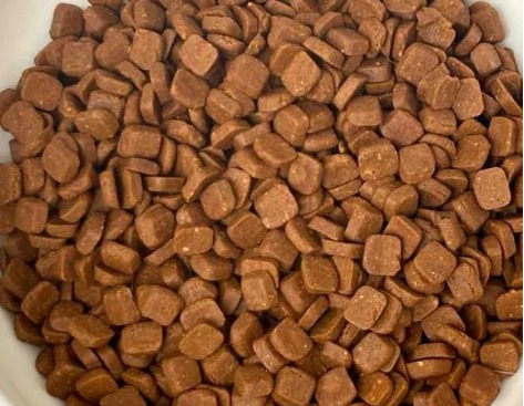 嘉传猫粮怎么样