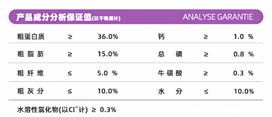 老年猫粮吃什么？