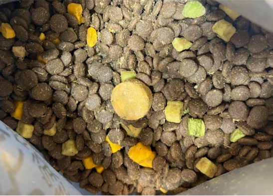 领先狗粮好不好？