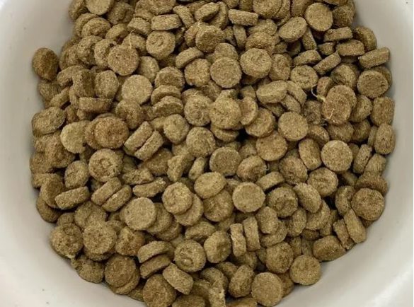 探索新疆驼奶猫粮