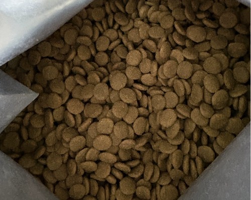 宠率狗粮怎么样？