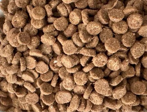 短脖子乔治猫粮能买吗？