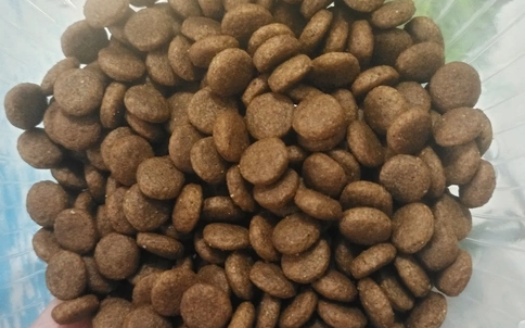 卫仕狗粮好不好