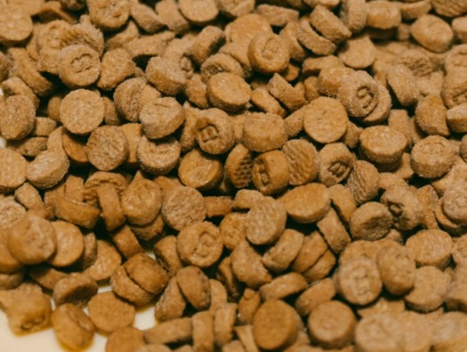 比乐猫粮怎么样？