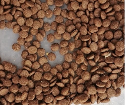 宠王府红门宴狗粮怎么样？