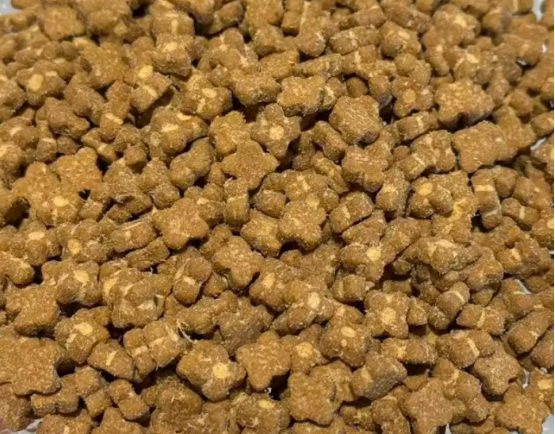 猫咪掉毛严重吃什么猫粮？