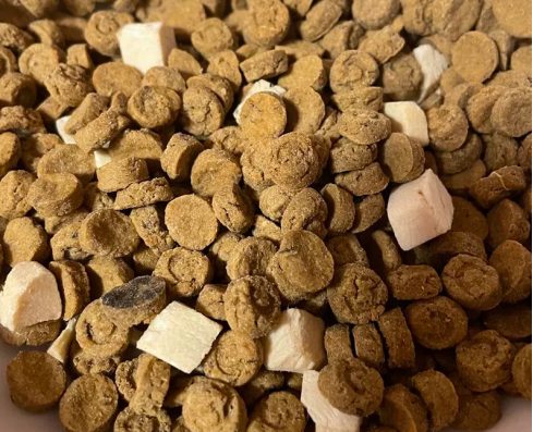 好主人猫粮值得买吗