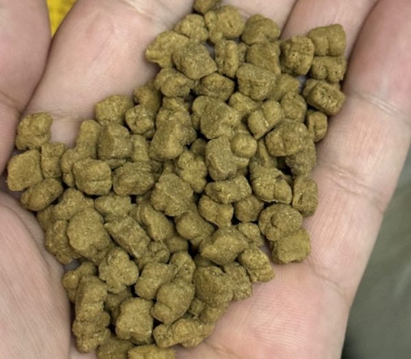 倍内菲猫粮好不好