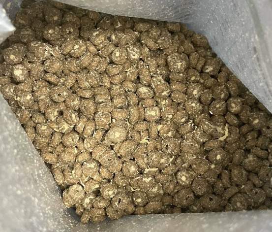 江小傲羊奶乳鸽猫粮好不好