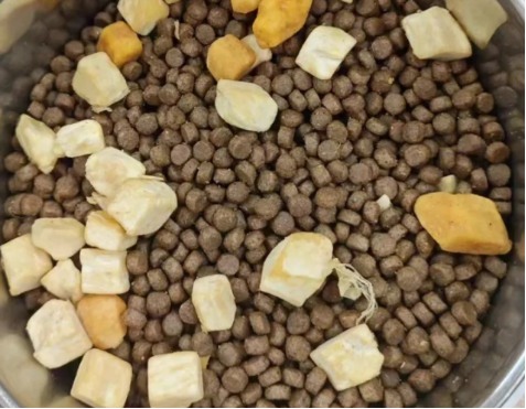 网易天成猫粮怎么样