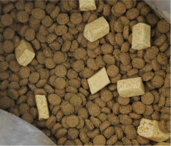 喵梵思猫粮到底怎么样？