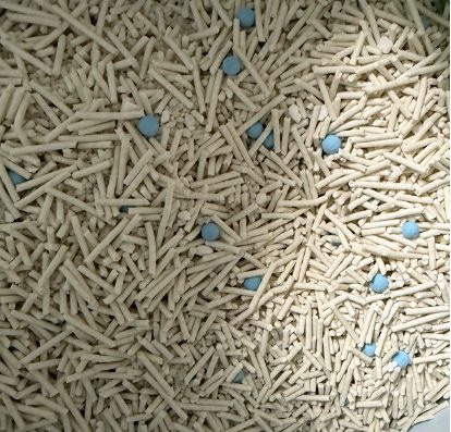 有鱼猫砂怎么样