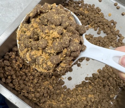 鸭肉梨狗粮测评