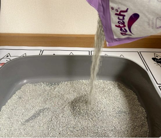 一撇猫砂怎么样