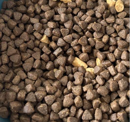 海洋之星猫粮评测