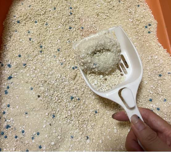 星宴植物猫砂测评