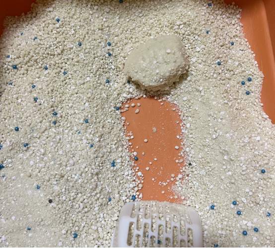 星宴猫砂好用吗？