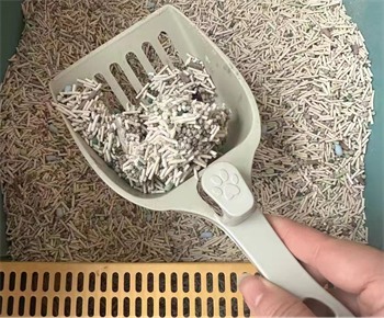 夫人的猫混合猫砂