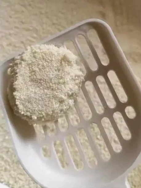 城市理享木薯猫砂怎么样