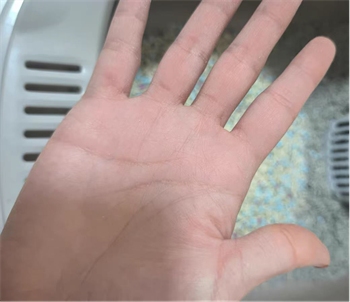 爱丽友猫砂测评