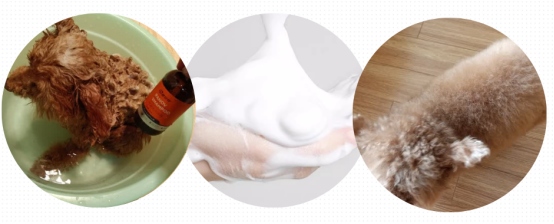 普安特沐浴露测评