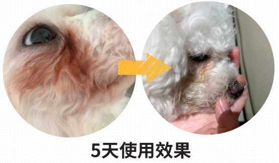 狗狗去泪痕产品测评